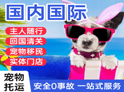 白莲空运代理国际宠物托运 【国